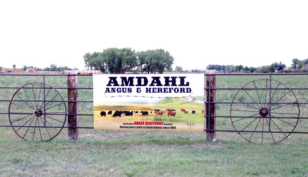 About Amdahl Angus & Hereford