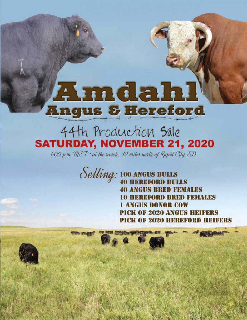 Amdahl Angus & Hereford Sale Catalog